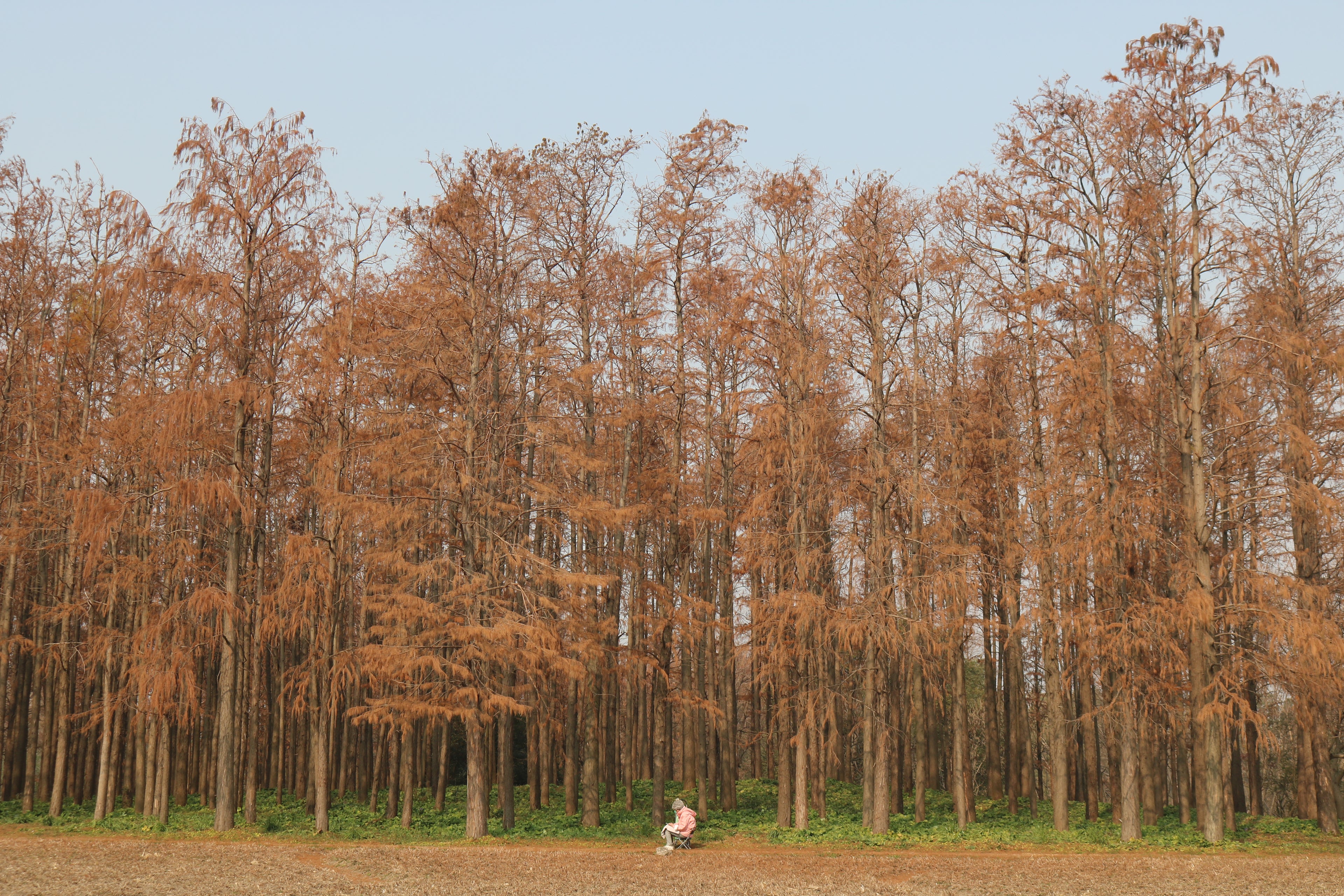 slider image slider_item_P6hUaD